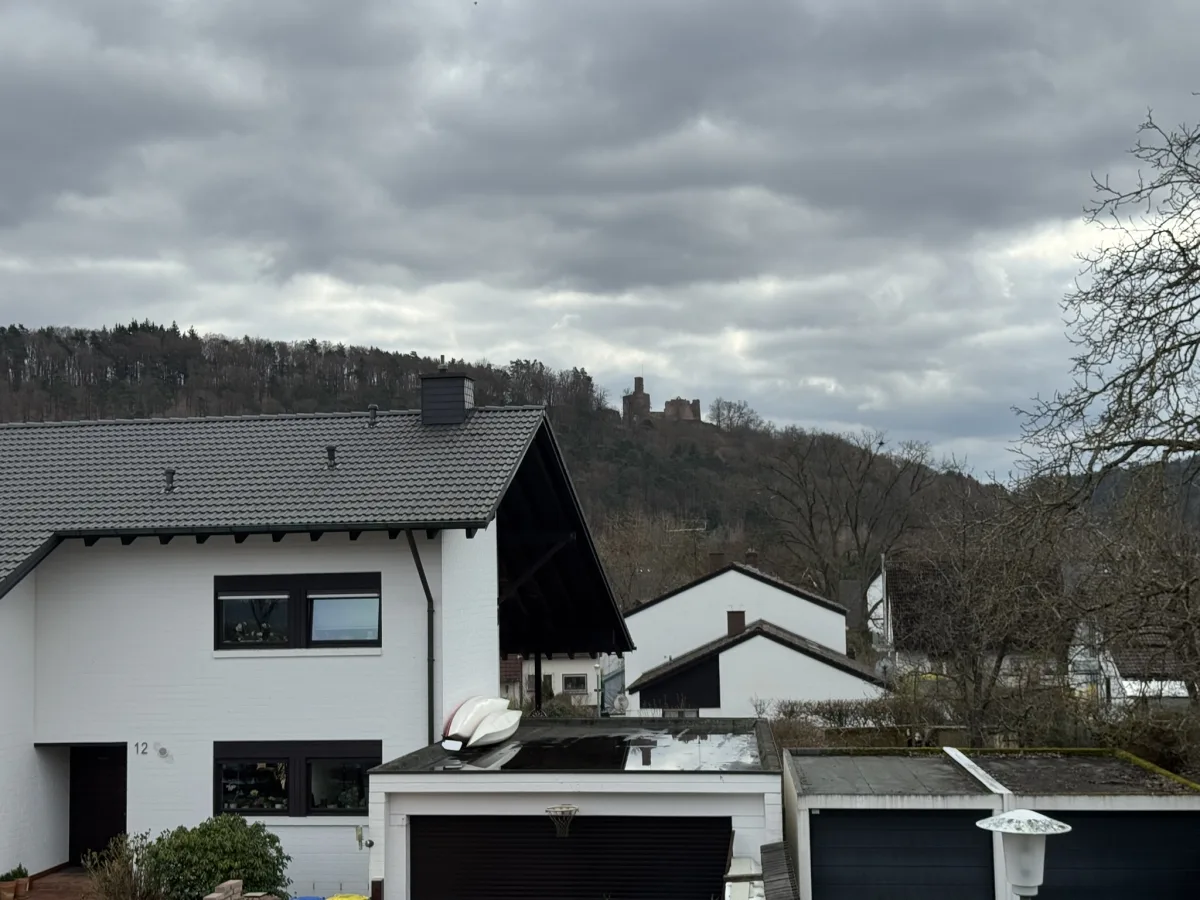 Blick auf Burg Hohenecken